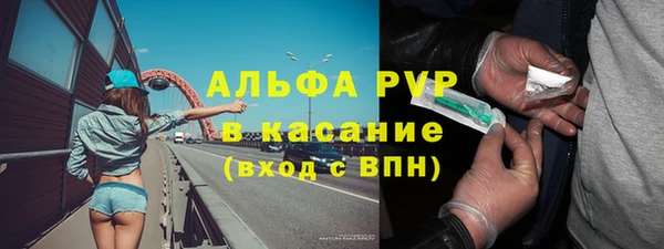 СК Абинск