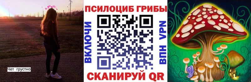цена наркотик  Нововоронеж  Галлюциногенные грибы мицелий 