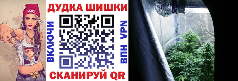 Бошки Шишки семена Нововоронеж